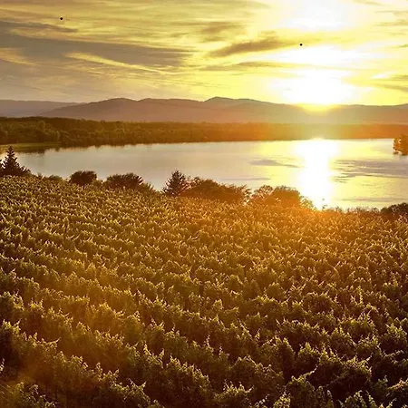 Schloss Hollenburg Aparte