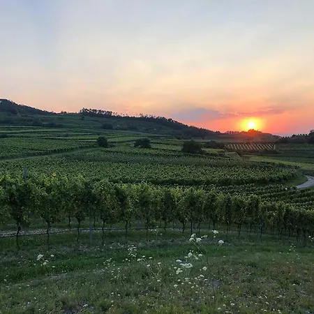 Schloss Hollenburg Aparte 多瑙河畔克雷姆斯