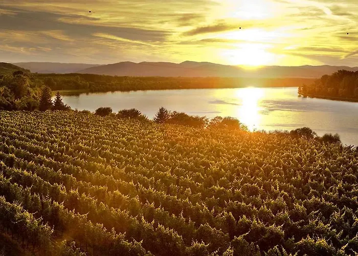 Schloss Hollenburg Aparte