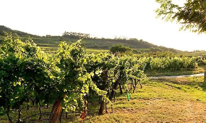 Schloss Hollenburg Aparte * Krems