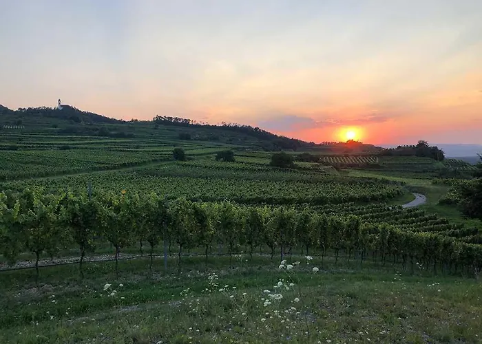 Schloss Hollenburg Aparte Krems